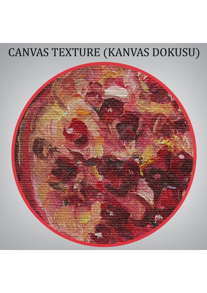 -Premier Kanvas Serileri- Nar Yağlı Boya Görünümlü Klasik Sanat TABLOSU-1230