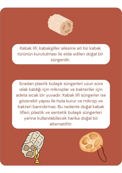 Kabak Lifi Sünger modelleri