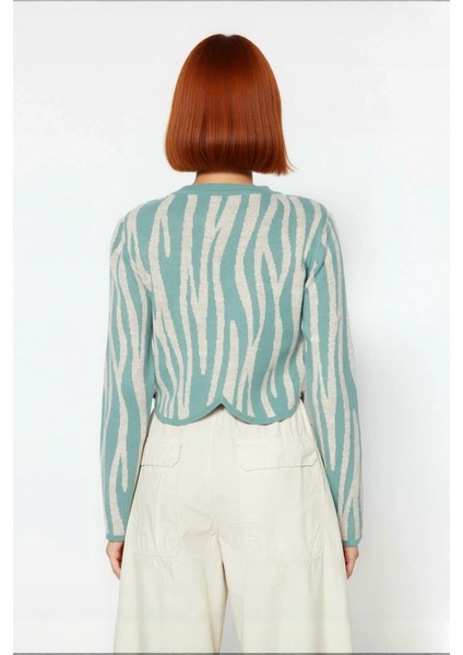 Kadın Günlük Akrilik Basic Siluet Bisiklet Yaka Uzun Kollu Crop Kesim Zebra Desenli Triko Kazak modelleri