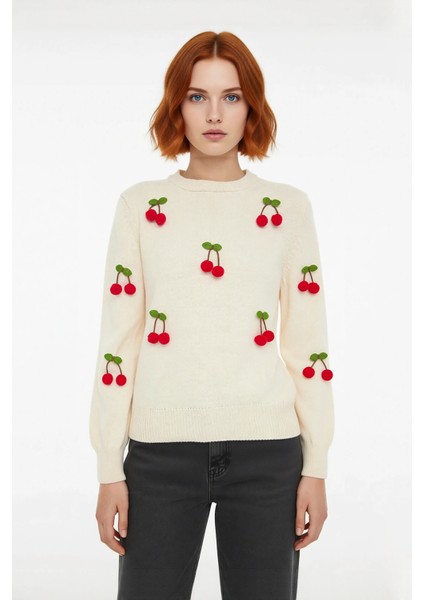 Kadın Casual Regular Kalıp Bisiklet Yaka Akrilik Uzun Kollu Nakışlı Işlemeli Triko Kazak Kaliteli fiyatları