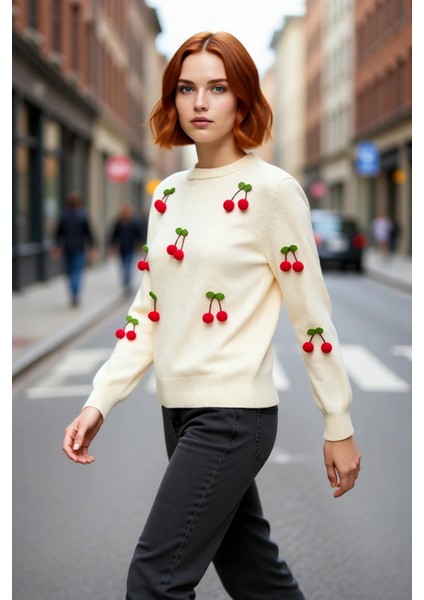 Kadın Casual Regular Kalıp Bisiklet Yaka Akrilik Uzun Kollu Nakışlı Işlemeli Triko Kazak Kaliteli fırsatları