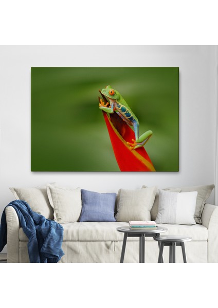 -Premier Kanvas Serileri- Renkli Kurbağa Dekoratif Kanvas Tablo 1136 fiyatları