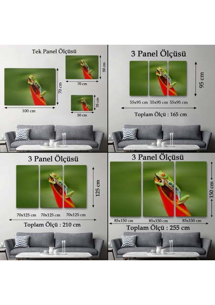 -Premier Kanvas Serileri- Renkli Kurbağa Dekoratif Kanvas Tablo 1136