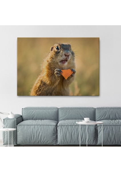 -Premier Kanvas Serileri- Şaşkın Sincap Dekoratif Kanvas Tablo 1158 fiyatları