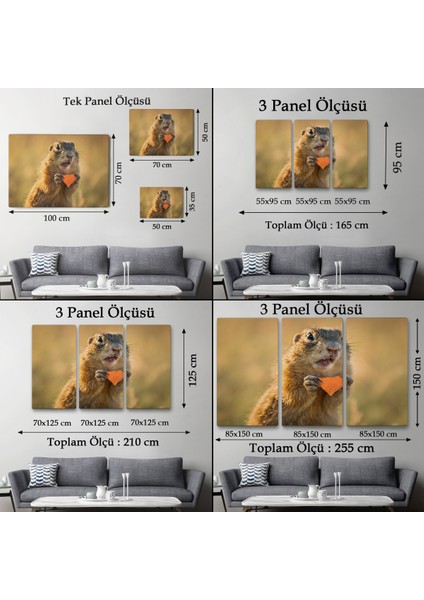 -Premier Kanvas Serileri- Şaşkın Sincap Dekoratif Kanvas Tablo 1158