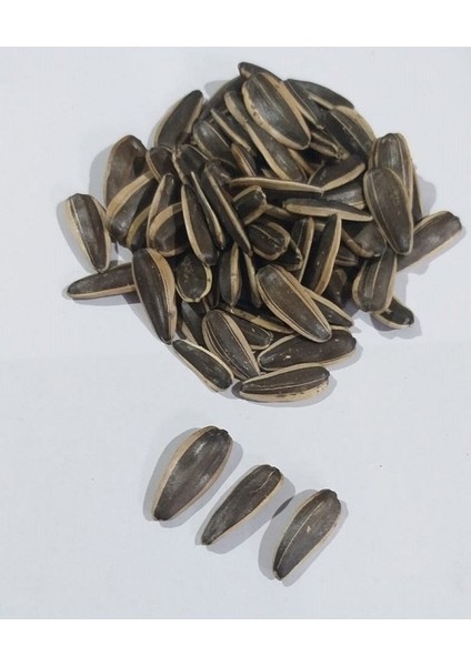 Ayçekirdek Siyah Tuzsuz 500 gr