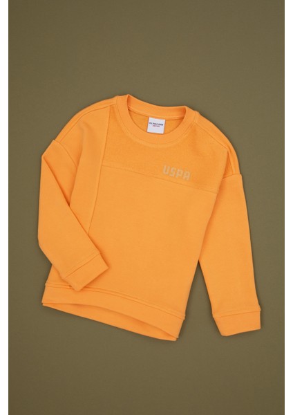 Kız Çocuk Sweatshirt 50317991-VR244