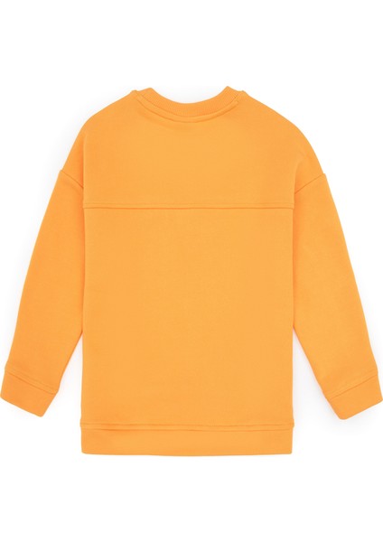 Kız Çocuk Sweatshirt 50317991-VR244 modelleri