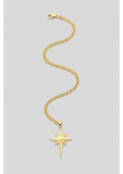 ERKEK GOLD KAPLAMA KUTUP YILDIZI KOLYE 65 CM PMEKL25507 fiyatları