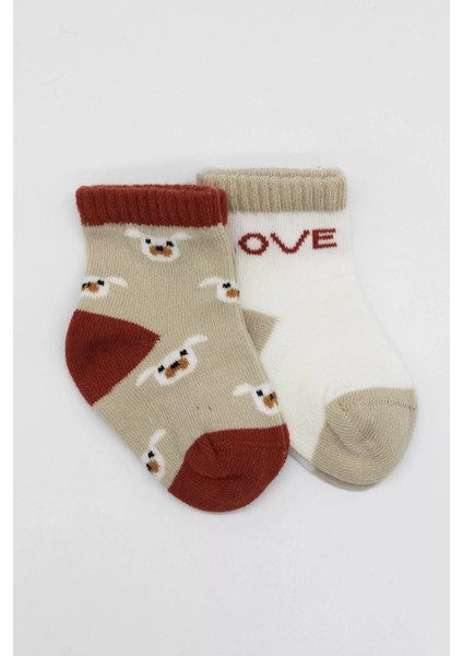 Love Dog Penye Soket Çorap 2'li Bej fiyatları