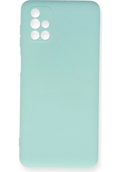 Newface Samsung Galaxy M51 Kılıf Nano Içi Kadife Silikon Uaz