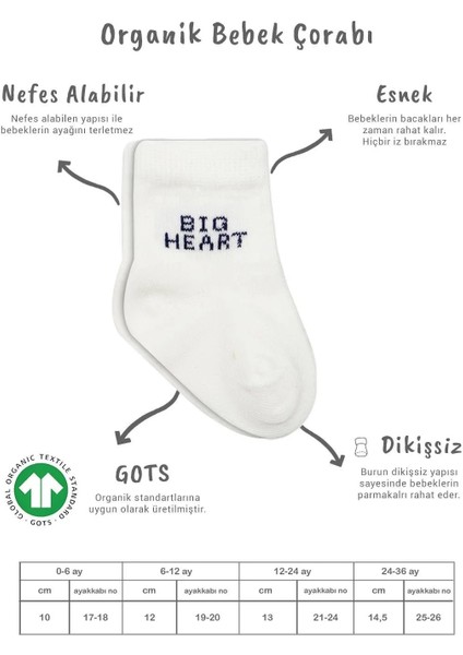 3'lü Penye Soket Çorap BS10110 Indigo