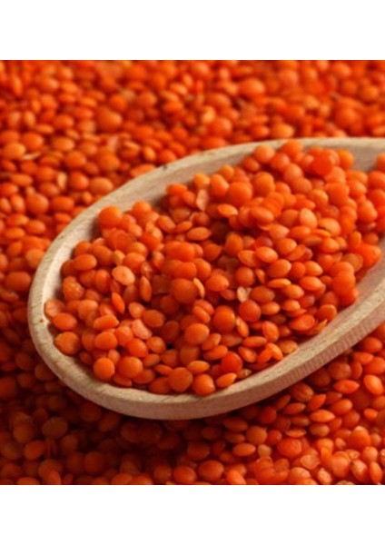 Açık Kırmızı Mercimek