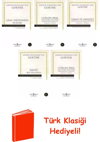 Johann Wolfgang Von Goethe 5 Kitap Seti + Türk Klasiği Hediye