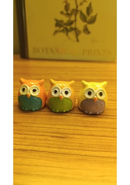 Üç Bilge Baykuş Seti-Renkli Dostlar Baykuş Seti-3’lü Dekoratif Mini Set- Turuncu-Somon-Sarı 4*4 fırsatları