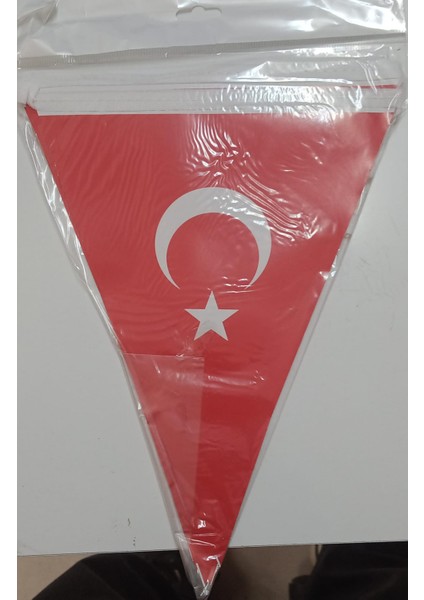 Üçgen Ipli Bayrak 10LU