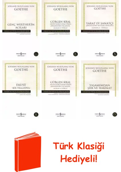 Johann Wolfgang Von Goethe 6 Kitap Seti + Türk Klasiği Hediye