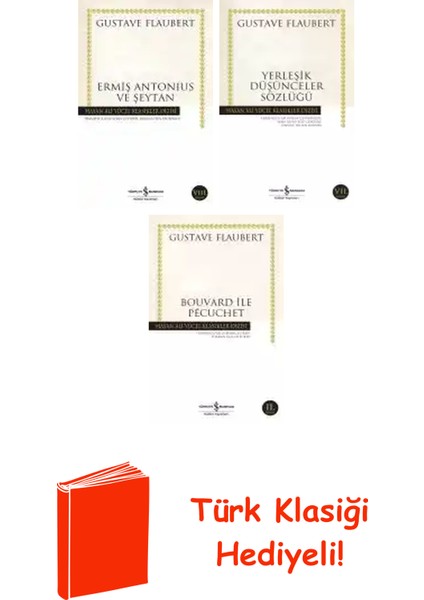 Gustave Flaubert 3 Kitap Seti + Türk Klasiği Hediye
