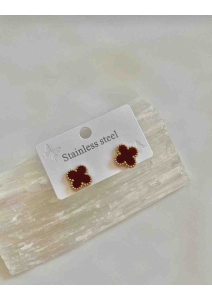Gunestaki 316L Çelik Gold Bordo Küpe Kolye Seti fırsatları