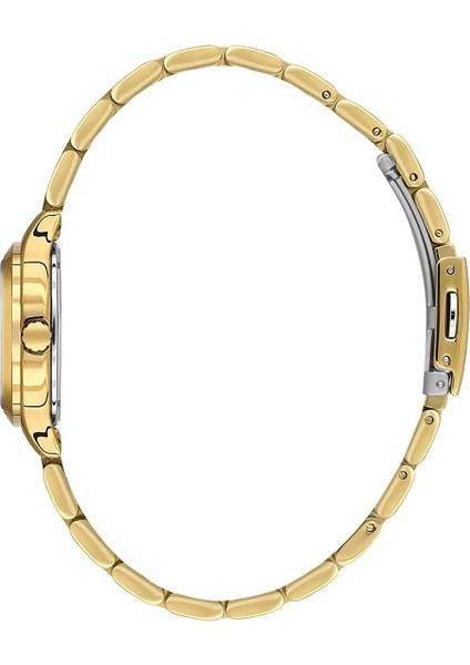 Danıel Kleın DK.1.13912-5 Kadın Kol Saati fiyatları