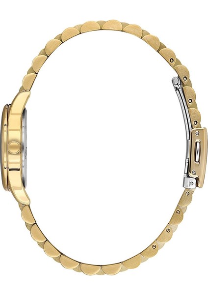 Danıel Kleın DK.1.13914-3 Kadın Kol Saati fiyatları