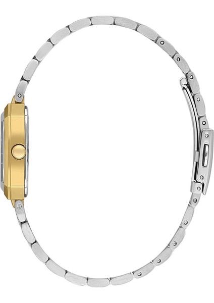 Danıel Kleın DKE.1.10968-3 Kadın Kol Saati fiyatları