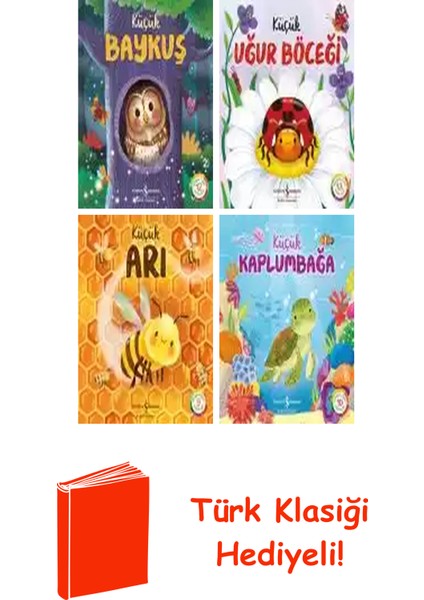 Wednesday Jones 4 Kitap Seti + Türk Klasiği Hediye