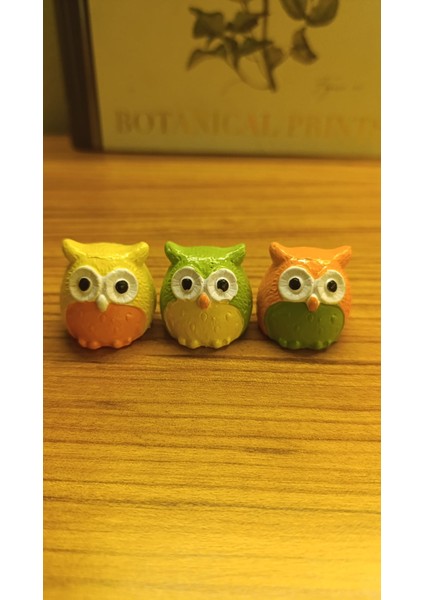 Üç Bilge Baykuş Seti-Renkli Dostlar Baykuş Seti-3’lü Dekoratif Mini Set- Sarı-Yeşil-Turuncu 4*4 fırsatları