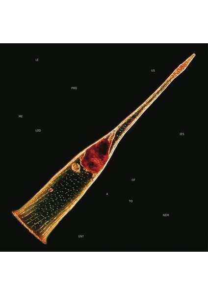 Leprous - Melodıes Of Atonement (Gatefold Black) - 2 Plak