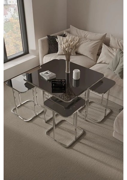 Kare Pizza Orta Sehpa Füme Cam Radüslü 4+1