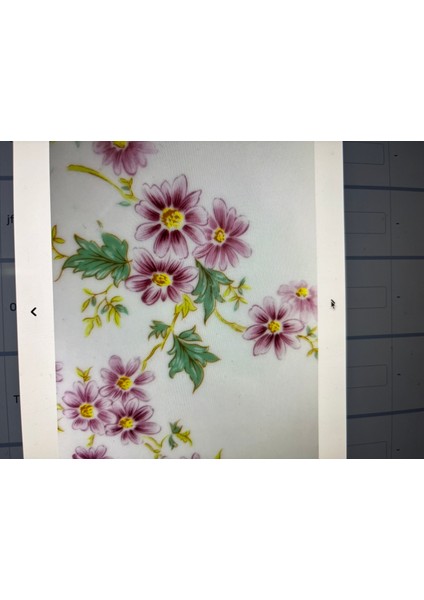 31,5 cm Çapında Fransız Porselen Tepsi modelleri