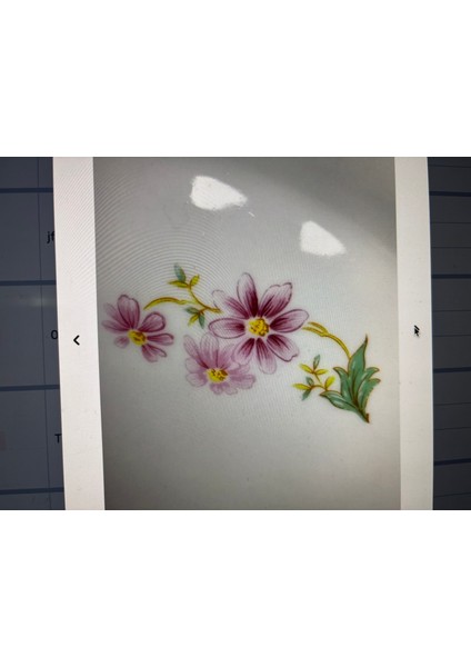 31,5 cm Çapında Fransız Porselen Tepsi fırsatları