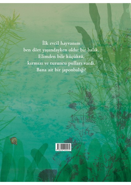 Minik Balığım Fırfır - Catherine Rayner fiyatları