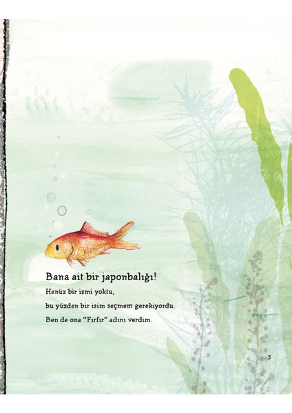 Minik Balığım Fırfır - Catherine Rayner fırsatları