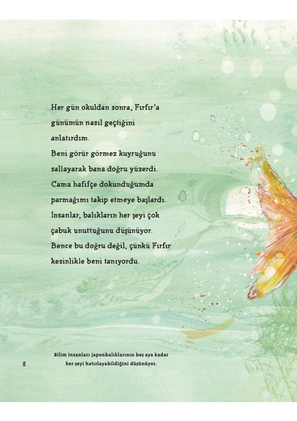 Minik Balığım Fırfır - Catherine Rayner