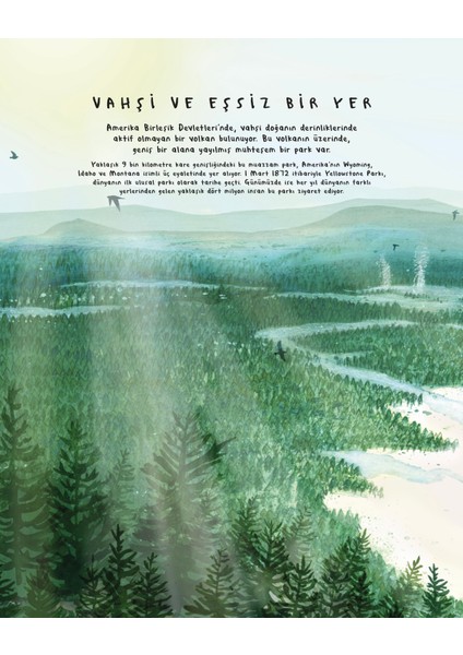 On Dört Kurt - Catherine Barr modelleri