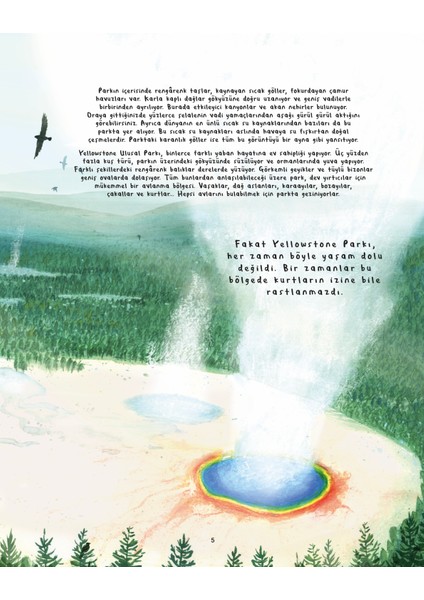 On Dört Kurt - Catherine Barr fırsatları