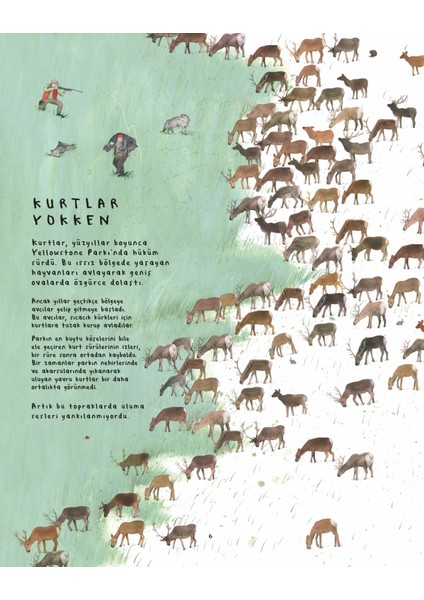 On Dört Kurt - Catherine Barr indirimleri