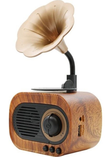 B5 Nostaljik Mini Gramafon Radyo fiyatları