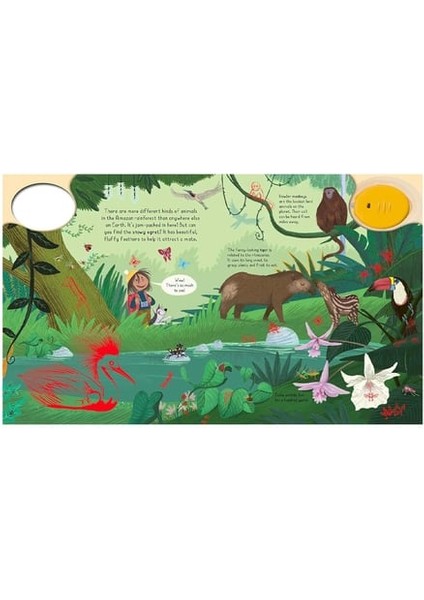 Magic Torch - Explore The Rainforest fiyatları