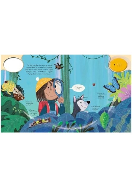 Magic Torch - Explore The Rainforest modelleri