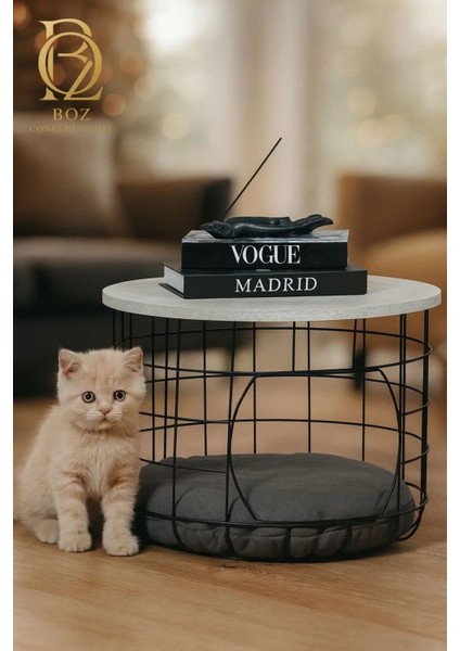 Ikili Minderli Kedi Yuvalığı Metal Zigon Sehpa Seti fiyatları
