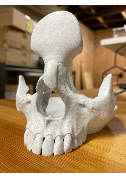 Granit Renk Kurukafa Gözlük Standı – 3D Baskı Dekoratif Gözlük Tutucu | Masaüstü Organizer Aksesuar modelleri