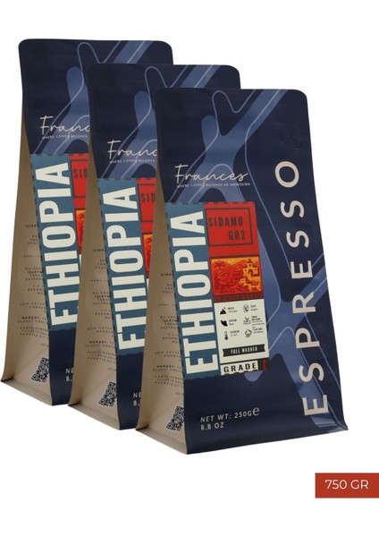 %100 Arabica Ethiopia Sidamo Gr2 Espresso | 3X250G | Canlı Asidite