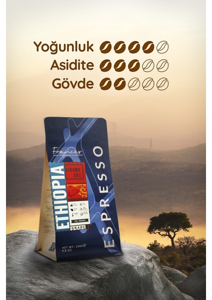 %100 Arabica Ethiopia Sidamo Gr2 Espresso | 3X250G | Canlı Asidite modelleri