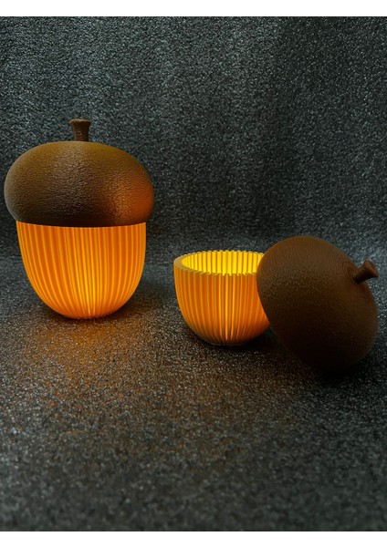 Işıklı Meşe Palamudu Biblo Seti, 2’li Saklama Kutusu ve Dekoratif Obje, Işıklar Dahil 10CM-15 cm