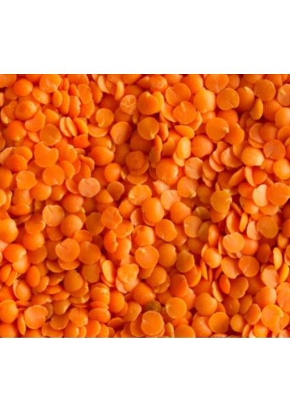 Açık Kırmızı Yaprak Mercimek