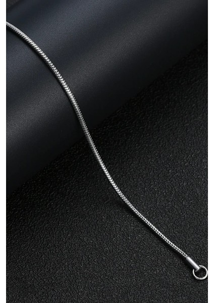 Italyan Ince Yılan Paslanmaz Çelik Erkek Kadın Zincir Kolye ECK58K