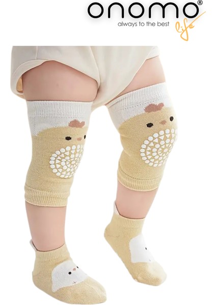 Life Bebek Yürüme Emekleme Çorap ve Dizlik Seti 1 Çift Karışık Renkler modelleri