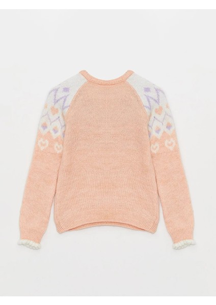 Lcw Eco Pembe Bisiklet Yaka Desenli Uzun Kollu Kız Çocuk Triko Kazak fiyatları